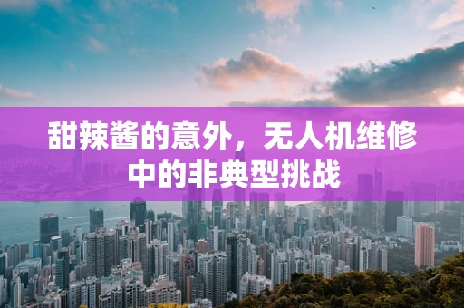 甜辣酱的意外，无人机维修中的非典型挑战