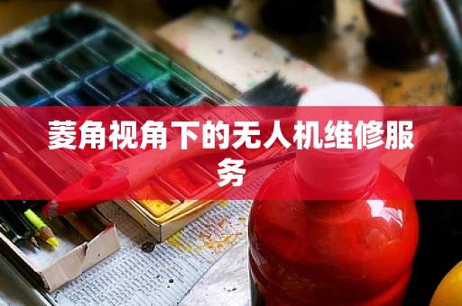 菱角视角下的无人机维修服务