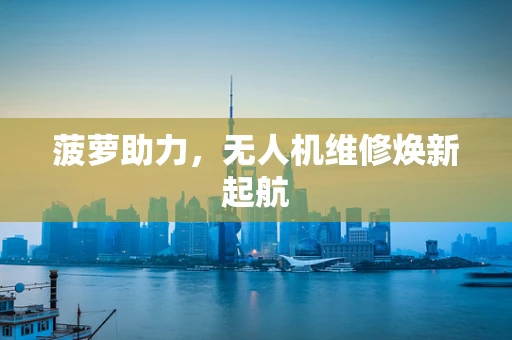 菠萝助力，无人机维修焕新起航