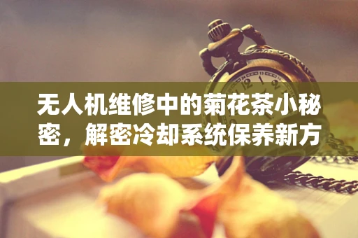无人机维修中的菊花茶小秘密，解密冷却系统保养新方法