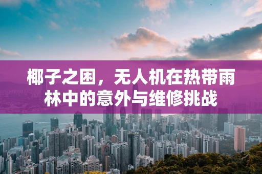 椰子之困，无人机在热带雨林中的意外与维修挑战