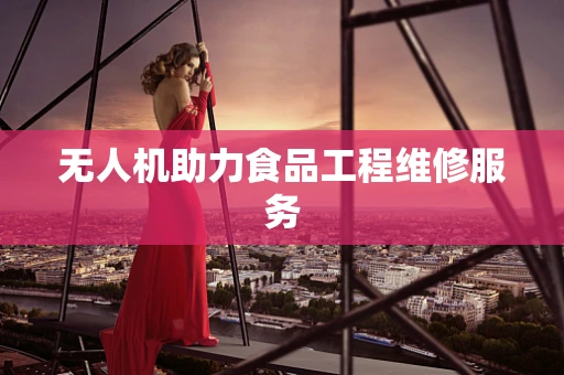 无人机助力食品工程维修服务