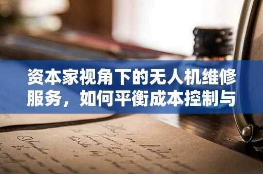 资本家视角下的无人机维修服务，如何平衡成本控制与技术创新？