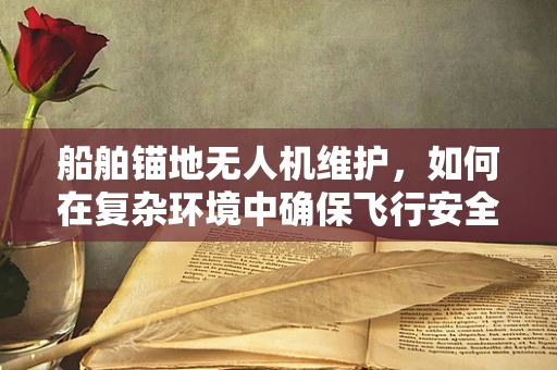 船舶锚地无人机维护，如何在复杂环境中确保飞行安全？