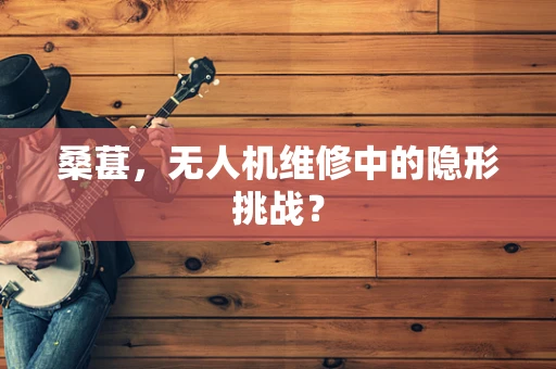 桑葚，无人机维修中的隐形挑战？