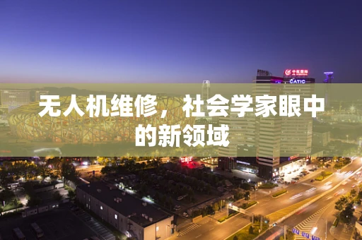 无人机维修，社会学家眼中的新领域
