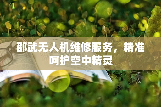 邵武无人机维修服务，精准呵护空中精灵
