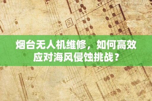 烟台无人机维修，如何高效应对海风侵蚀挑战？