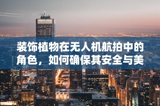 装饰植物在无人机航拍中的角色，如何确保其安全与美观？