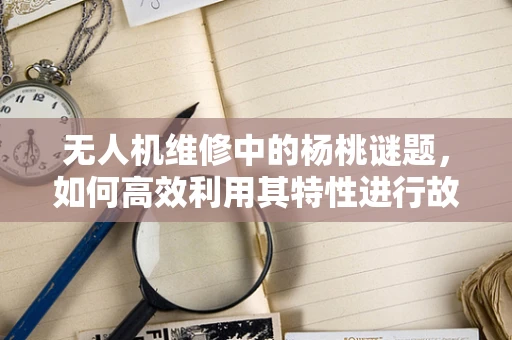 无人机维修中的杨桃谜题，如何高效利用其特性进行故障诊断？