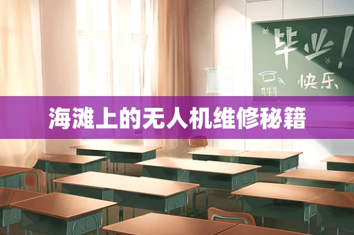 海滩上的无人机维修秘籍