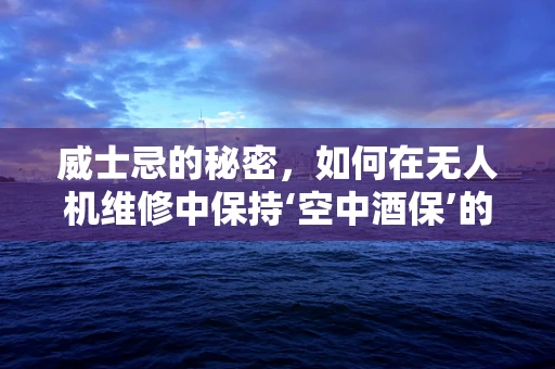 威士忌的秘密，如何在无人机维修中保持‘空中酒保’的平衡？