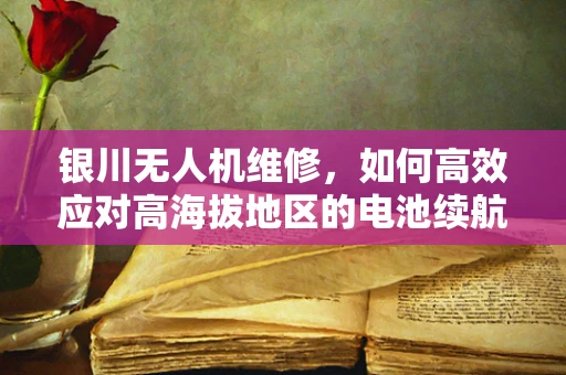 银川无人机维修，如何高效应对高海拔地区的电池续航挑战？
