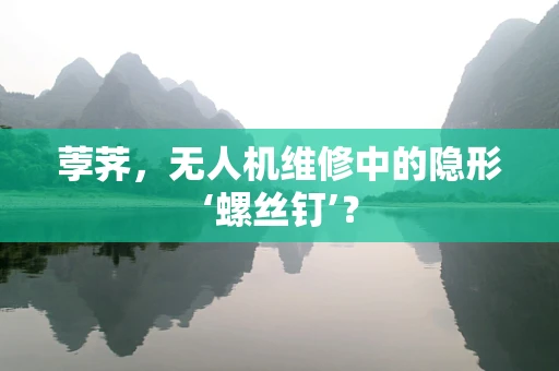荸荠，无人机维修中的隐形‘螺丝钉’？