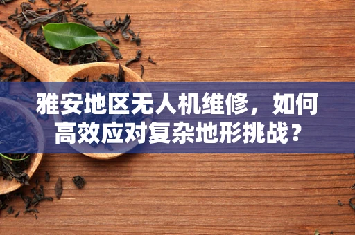 雅安地区无人机维修，如何高效应对复杂地形挑战？
