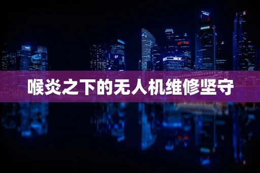喉炎之下的无人机维修坚守