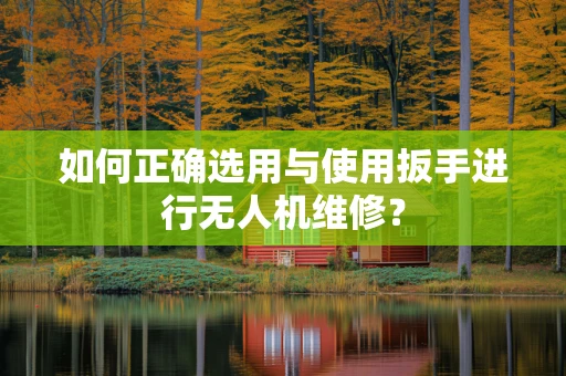 如何正确选用与使用扳手进行无人机维修？