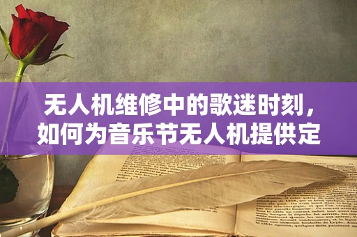 无人机维修中的歌迷时刻，如何为音乐节无人机提供定制化服务？