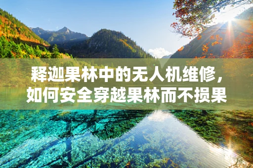 释迦果林中的无人机维修，如何安全穿越果林而不损果实？