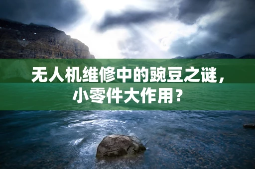 无人机维修中的豌豆之谜，小零件大作用？