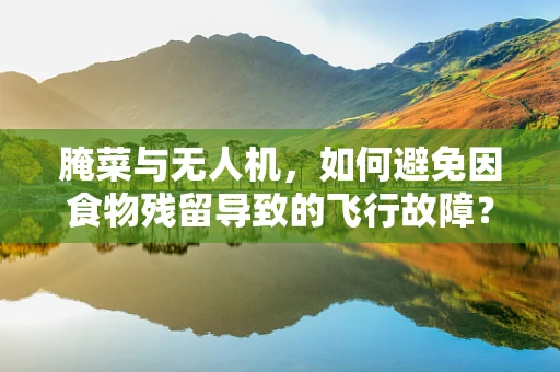 腌菜与无人机，如何避免因食物残留导致的飞行故障？