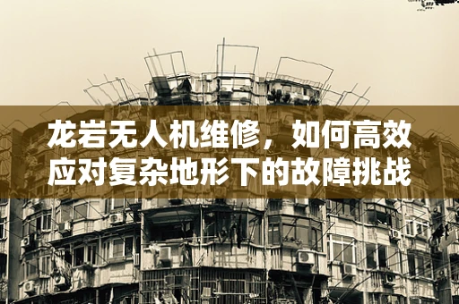 龙岩无人机维修，如何高效应对复杂地形下的故障挑战？