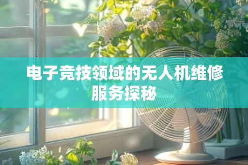 电子竞技领域的无人机维修服务探秘