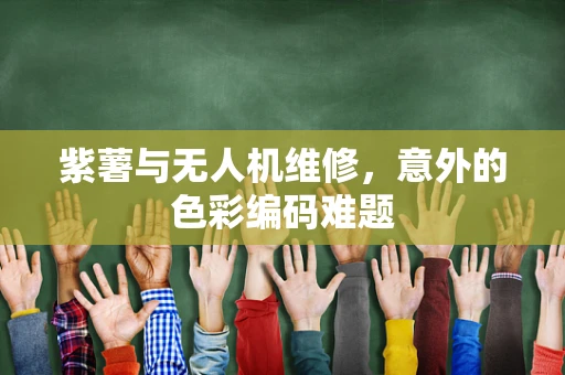 紫薯与无人机维修，意外的色彩编码难题