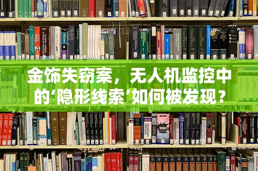 金饰失窃案，无人机监控中的‘隐形线索’如何被发现？