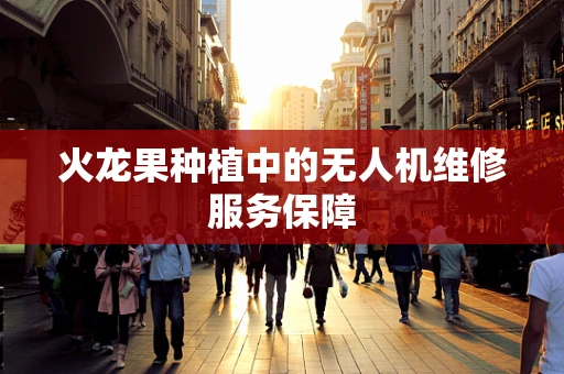 火龙果种植中的无人机维修服务保障