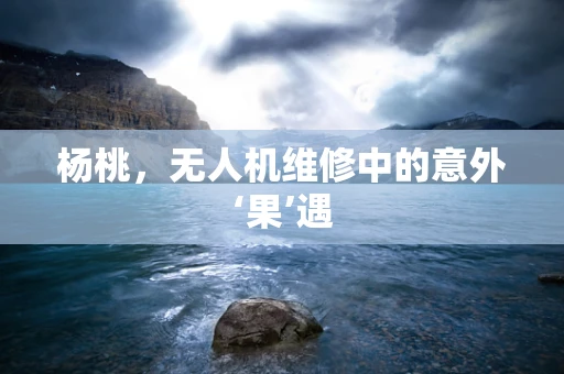 杨桃，无人机维修中的意外‘果’遇