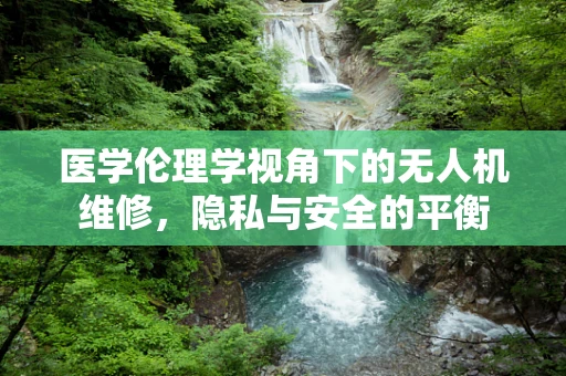 医学伦理学视角下的无人机维修，隐私与安全的平衡