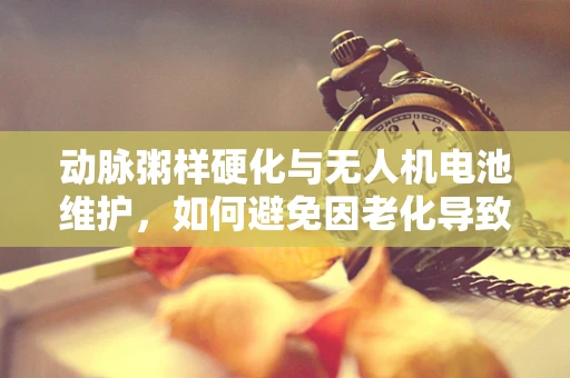 动脉粥样硬化与无人机电池维护，如何避免因老化导致的飞行隐患？