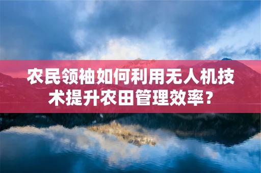 农民领袖如何利用无人机技术提升农田管理效率？