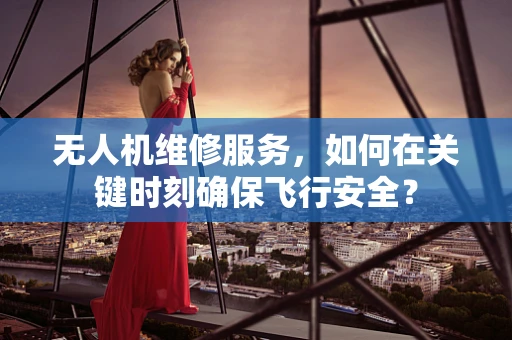 无人机维修服务，如何在关键时刻确保飞行安全？