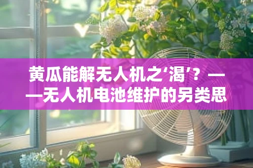 黄瓜能解无人机之‘渴’？——无人机电池维护的另类思考