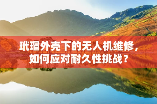 玳瑁外壳下的无人机维修，如何应对耐久性挑战？