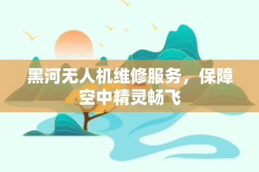 黑河无人机维修服务，保障空中精灵畅飞