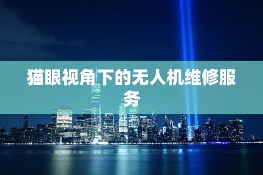 猫眼视角下的无人机维修服务