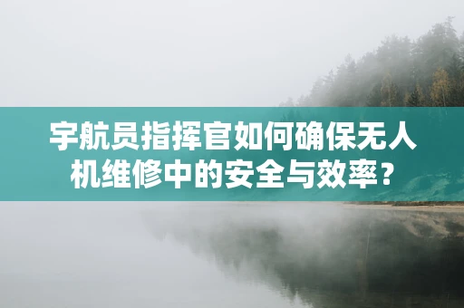 宇航员指挥官如何确保无人机维修中的安全与效率？