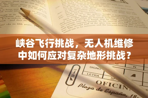 峡谷飞行挑战，无人机维修中如何应对复杂地形挑战？