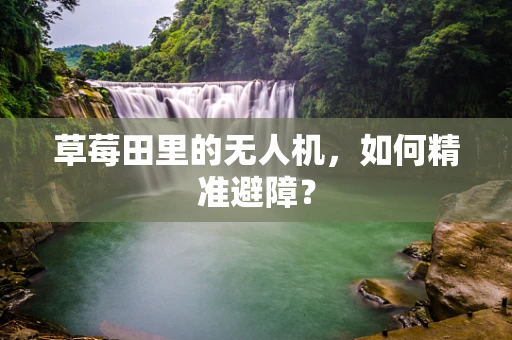 草莓田里的无人机，如何精准避障？