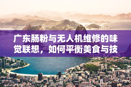 广东肠粉与无人机维修的味觉联想，如何平衡美食与技术的味道？