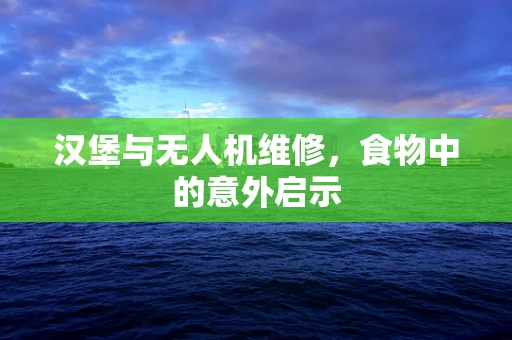 汉堡与无人机维修，食物中的意外启示