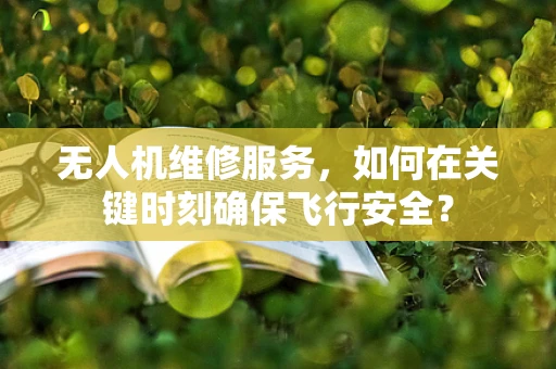 无人机维修服务，如何在关键时刻确保飞行安全？