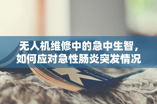 无人机维修中的急中生智，如何应对急性肠炎突发情况？
