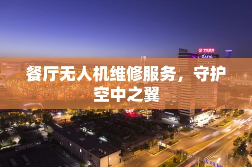 餐厅无人机维修服务，守护空中之翼