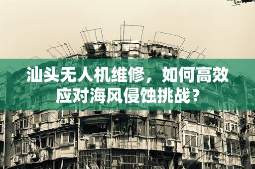汕头无人机维修，如何高效应对海风侵蚀挑战？