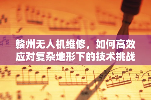 赣州无人机维修，如何高效应对复杂地形下的技术挑战？