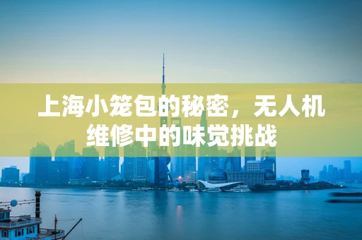 上海小笼包的秘密，无人机维修中的味觉挑战